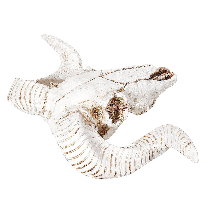 Wall Hanging Resin Ram Skull Ornament Sheep Head Animal Art Sculpture Decorations