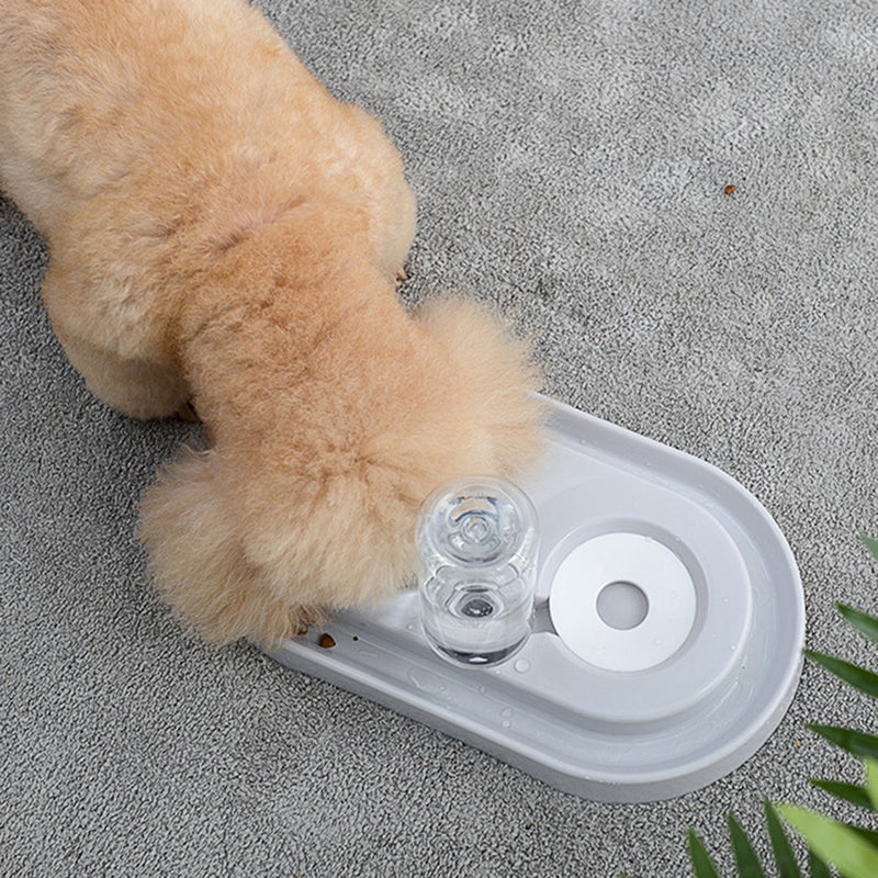 Automatic Pet Dog Cat Drink Water Dispenser Feeder Food Bowl Dish