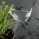 Plants Self Watering Device High Borosilicate Glass Automatic Watering Container
