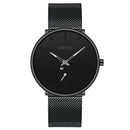 STRYVE S9501 Fshion Men Simple Dial Full Mesh Steel Strap Independent second Dial Quartz Watch