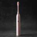 IP67 Powerful Ultrasonic Electric Toothbrush Battery Type Tooth Brush Oral Care Teeth Cleaner With Replacement Heads