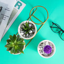 Ceramic Succulent Plant Flower Pot Bonsai Holder Home Tabletop Garden Decor With Stand