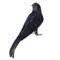 Raven Halloween Party Crow Bird Decorations Prop Stuffed Feather Blackbird Decor