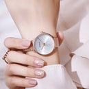 GIMTO GM270 Simple Two-pin Design Dial Rose Gold Mesh Steel Strap Fashion Women Quartz Watch