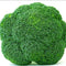 Egrow 100 Pcs/Pack Cauliflower Seeds Vegetable Broccoli Bonsai Balconies Cabbage Cauliflower Terraces Small Planting Rapebonsai