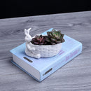 Rabbit Basket Shape Pot Succulent Planter Herb Flower Gardening Box Case Decor