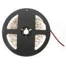 5M 24W 300LEDs SMD 3528 Pure White Warm White Flexible LED Strip Light Waterproof DC12V