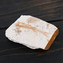 Lycoptera Davidi plate specimen Jurassic to Cretaceous Real Fish Fossil China Decorations