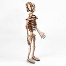 DIY Human Bone Model Intelligence Training Building Block Human Bone Model Blocks Toys