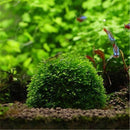 Mineral Stone Suspended Float Bio Moss Ball For Aquarium Decorations Crystal Plant Cultivation House