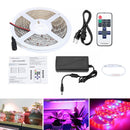 DC12V 5M 5050 Red:Blue 5:1 Full Spectrum LED Grow Strip Hydroponic Plant Light Kit + Power Adapter