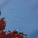 180X180CM Eiffel Tower Waterproof Polyester Shower Curtain Bathroom Bathe Cloth