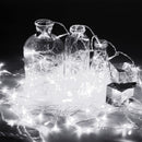 3Mx3M 300LED Curtain String Light Fairy Holiday Lamp Festival Christmas Wedding Decor AU Plug AC220V