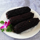 Egrow 30Pcs/Pack Black Waxy Corn Seeds Gardening Farm Vegetable Maize Black Sticky Corn Seeds