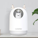 300ML USB Pets Air Humidifier LED Luminous Fine Fog Cool Steam Essential Oil Diffuser For Car Room