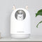 300ML USB Pets Air Humidifier LED Luminous Fine Fog Cool Steam Essential Oil Diffuser For Car Room
