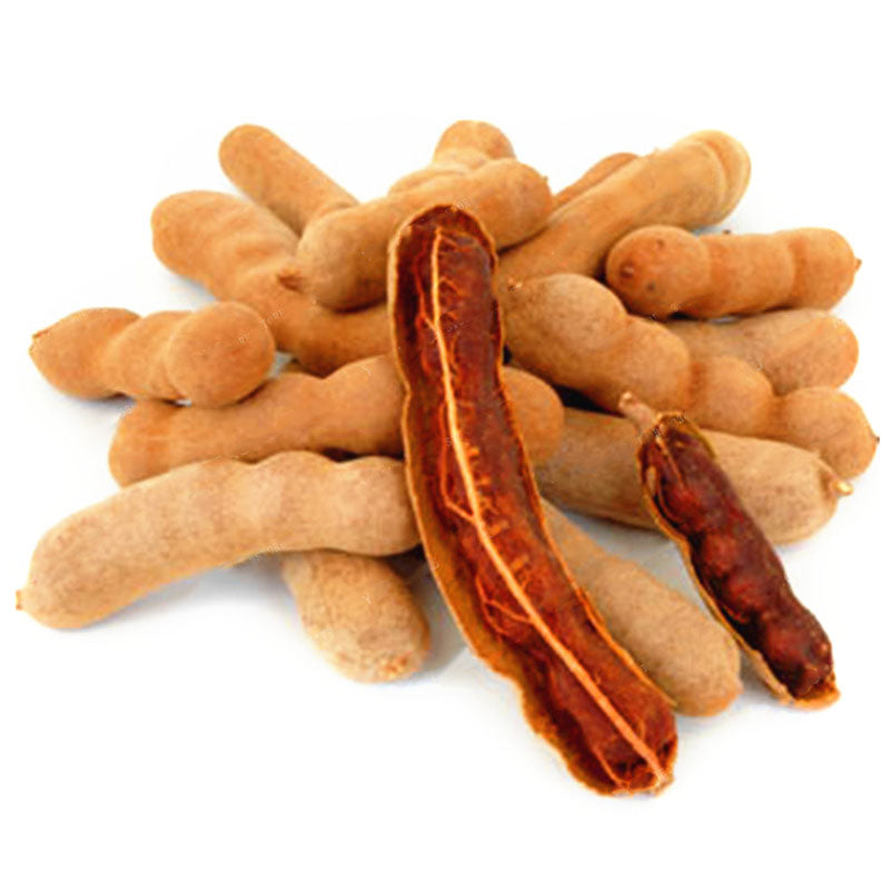 Egrow 10Pcs/Pack Tamarind Tree Seeds Fruit Vegetable Tree Bonsai Home Garden Decoration DIY Plants