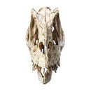Crafts Dinosaur Resin Skull Fossil Model Home Office Water Aquarium Party Decorations