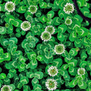 Egrow 200PCS/Pack Four Leaf Seeds Bonsai Seedsplant Green Plants Bonsai Four Leaf Clover Bonsai Decor