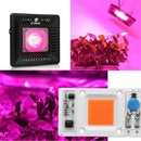 LUSTREON 50W Non-drive Thunder Protection COB LED Chip for DIY Grow Light Plant Lamp AC180-300V
