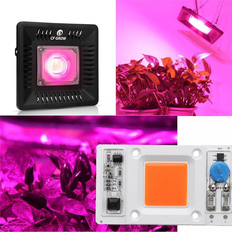 LUSTREON 50W Non-drive Thunder Protection COB LED Chip for DIY Grow Light Plant Lamp AC180-300V