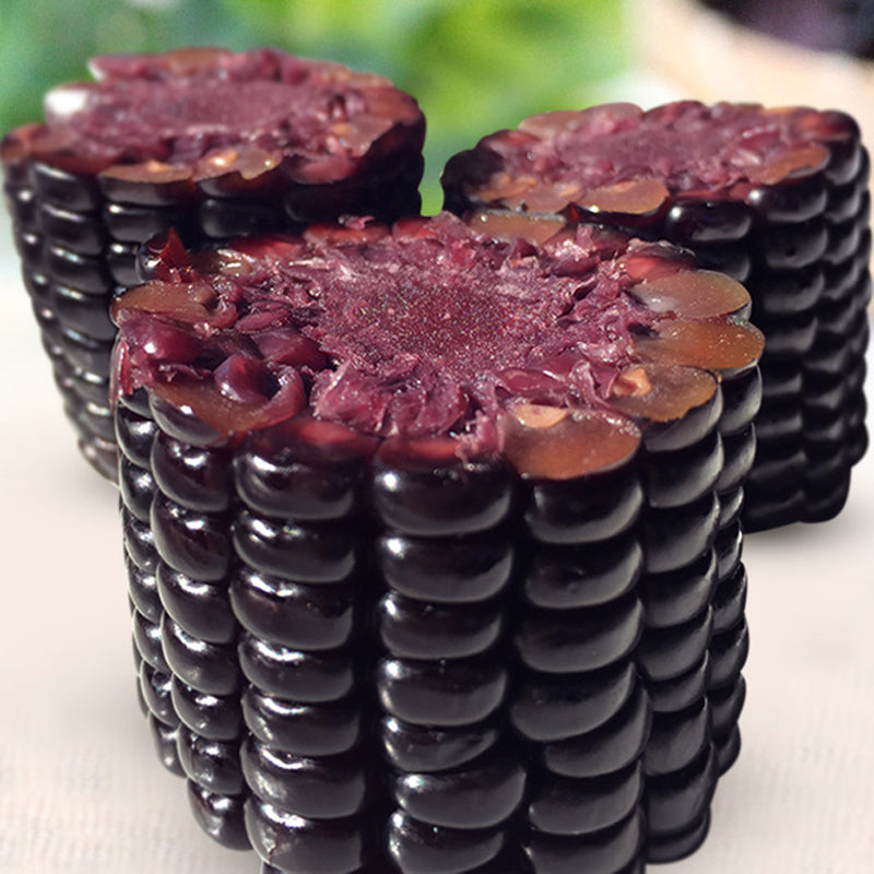 Egrow 30Pcs/Pack Black Waxy Corn Seeds Gardening Farm Vegetable Maize Black Sticky Corn Seeds