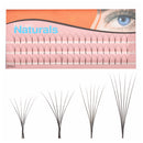 Black  Eyelash Extensions Eyelash Grafting Individual False Eyelashes Cluster 0.07mmThickness