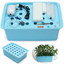 220V 24 Holes Hydroponic System Kit Indoor Aerobic Soilless Cultivation Water Planting Grow Box