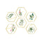 Miico FX82021 2PCS Plant Photo Frame Decorative Sticker Home Decorative Wall Sticker Removable Sticker