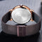 NAVIFORCE 3006 Waterproof Calendar Quartz Watch Mesh Steel Business Style Men Wrist Watch