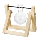 Vintage Style Water Glass Tabletop Plant Bonsai Flower Vase Wooden Frame Tray Glass Hydroponic System