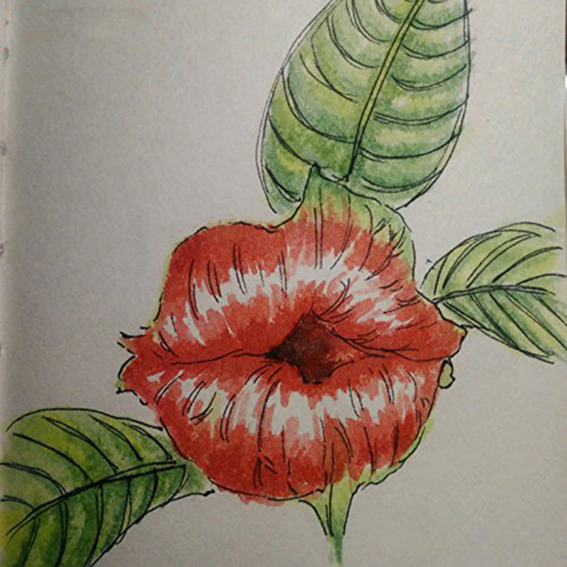 Egrow 100Pcs Red Lips Flower Seeds Sexy Kiss Rosy Lip Plants Garden Bonsai Psychotria Elata Seeds