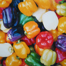 Egrow 50Pcs/Bag Mixed Red Yellow Green Pepper Seeds Colorful Sweet Pepper Seeds Mix Bell Peppers