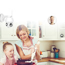 BESDER XMP200 1080P H.265 Speed Dome Outdoor WiFi Wireless Pan Tilt IP Camera 2 Way Audio SD Card IR Vision IP ONVIF Video Surveillance