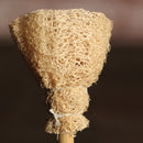 Bottle Brush for Beer Bottle Cleaner, Bottle Brush, Carboy Gallon Botte, Kombucha, Nalgene