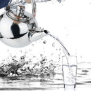 Stainless Steel Teapot Kettle Coffee Pot With Tea Leaf Strainer Infuser 1.6L