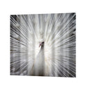 Polyester Fiber Shower Divider Scarf Peacock Bathroom Blind,180 x 180cm - Waterproof, Non Toxic, Eco-Friendly, No Chemical Odor, Rust Proof Grommets