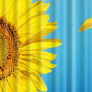 180 x 180cm Extra Wide Sunflower EVA Bathroom Shower Curtain + Hook - Waterproof, Non Toxic, Eco-Friendly, No Chemical Odor