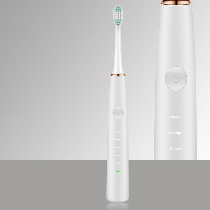 Loskii PA-189 Rechargeable Ultrasonic Vibration 5 Clean Modes Toothbrush Electric Toothbrush Dental