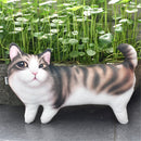 10.6" 3D Print Novelty Cat Kitty Shape Stuffed Plush Toy Cushion Adorable Funny Deco Design