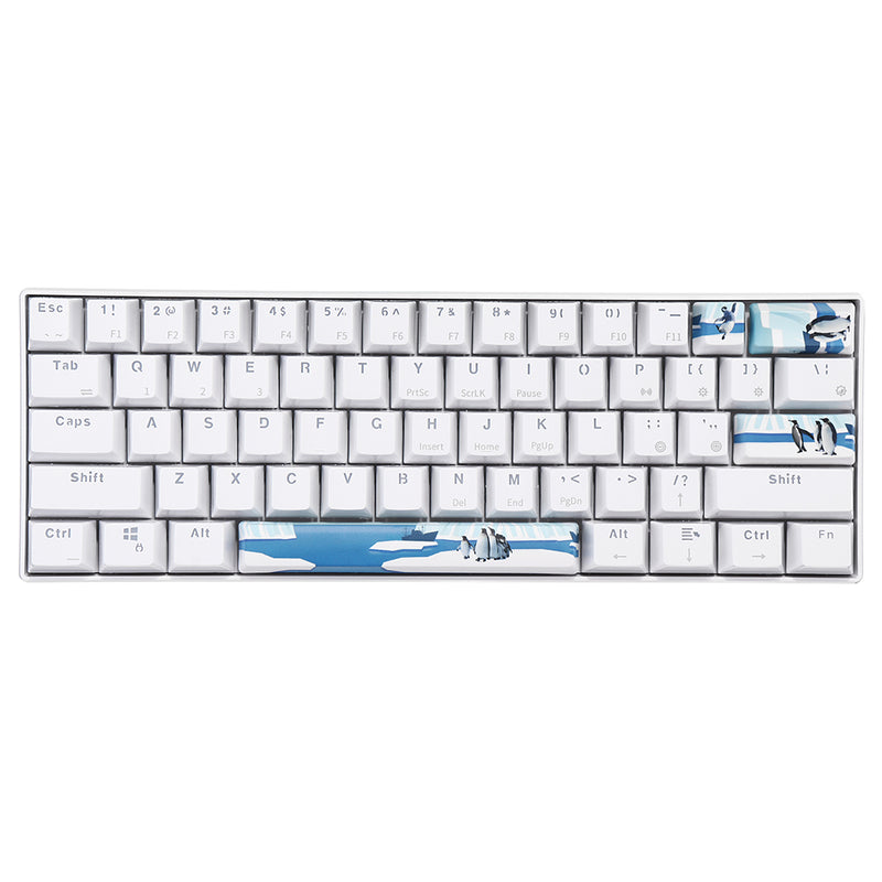 Five-sided Dyesub PBT OEM Profile Antarctic Penguin Space Bar 6.25u Novelty Keycap + ESC Enter Keycaps