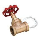 Vintage Steampunk 1/2 Inch Red Handle Stop Valve Light Switch With Wire For Water Pipe Lamp