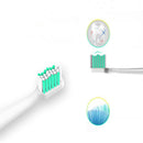 Borui BR-Z1 USB Wireless Ultrasonic Electric Toothbrush Oral Hygiene Rechargeable Sonic Automatic To