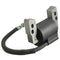 Ignition Coil Lawn Mower Electronic For Briggs Stratton 695711 802574 796964