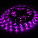 WS2811 5M LED Strip 150 SMD 5050 LED RGB Dream Color Strip Light Waterproof IP65 DC 12V