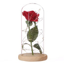 Best Gift Red Silk Rose in Glass Dome with LED on a Base for Home Decoration