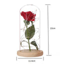 Best Gift Red Silk Rose in Glass Dome with LED on a Base for Home Decoration