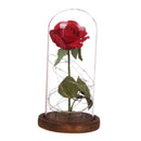 Best Gift Red Silk Rose in Glass Dome with LED on a Base for Home Decoration