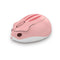 AKKO Hamster Shape 2.4GHz 4000DPI  Wireless Mouse for Compurter