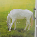 3D Grassland White Horse Scenery False Window PVC Decal Wall Sticker Muarl Home Room Decor